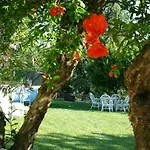 Feriegård La Casatella Agriturismo *