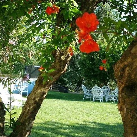 ファームステイ La Casatella Agriturismo *